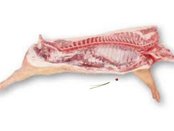 Demi Porc entier avec tête sans langue