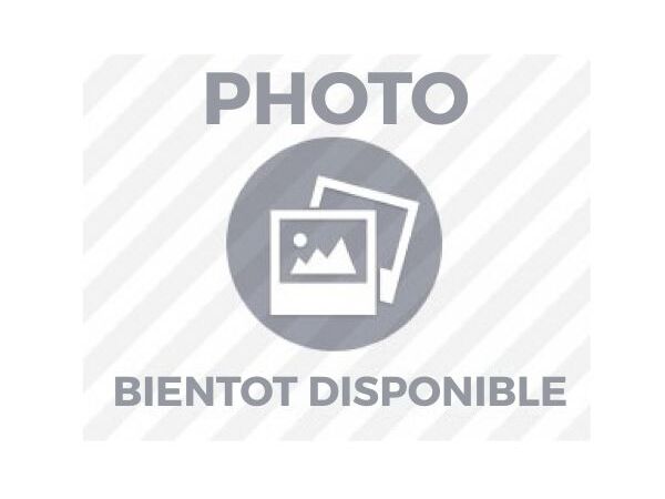 Blancs de poulet marinés Herbes de Provence X 12